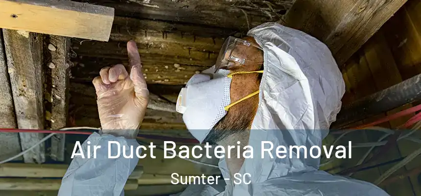 Air Duct Bacteria Removal Sumter - SC