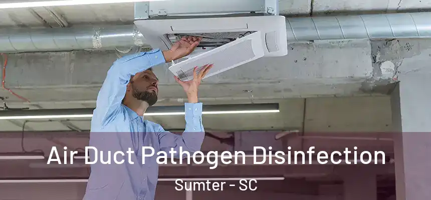 Air Duct Pathogen Disinfection Sumter - SC