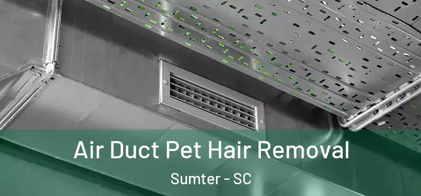 Air Duct Pet Hair Removal Sumter - SC
