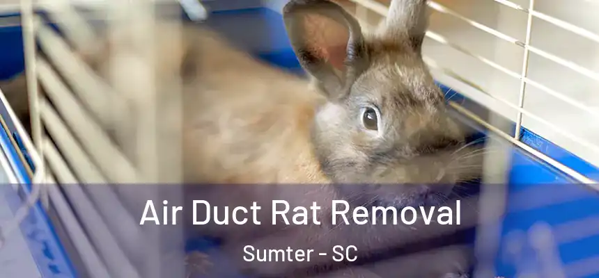 Air Duct Rat Removal Sumter - SC
