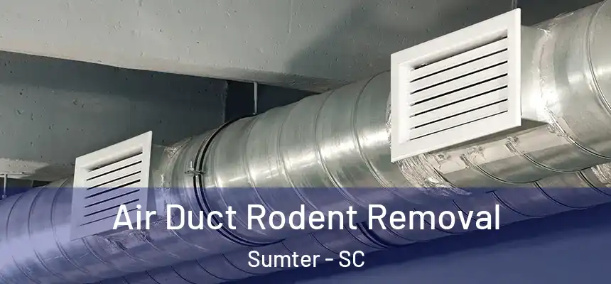 Air Duct Rodent Removal Sumter - SC
