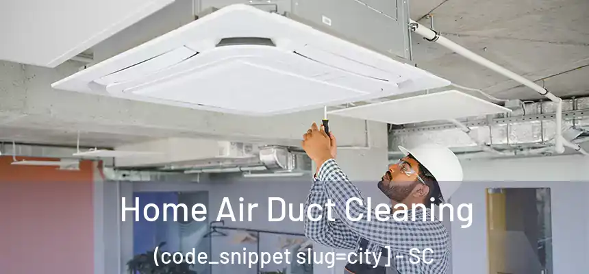  Home Air Duct Cleaning (code_snippet slug=city] - SC