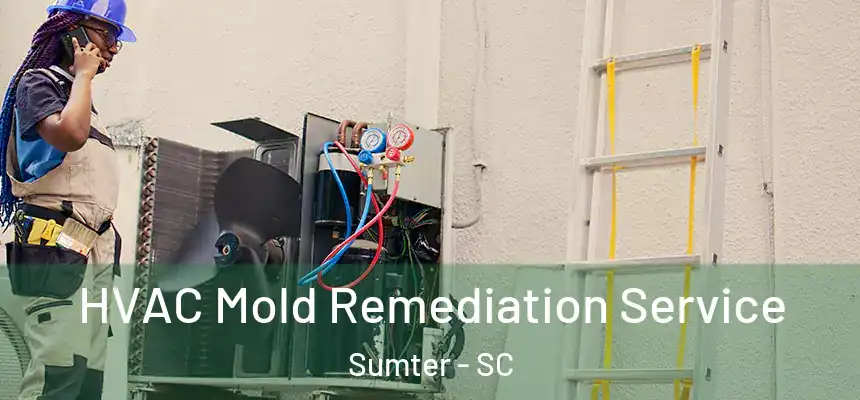  HVAC Mold Remediation Service Sumter - SC