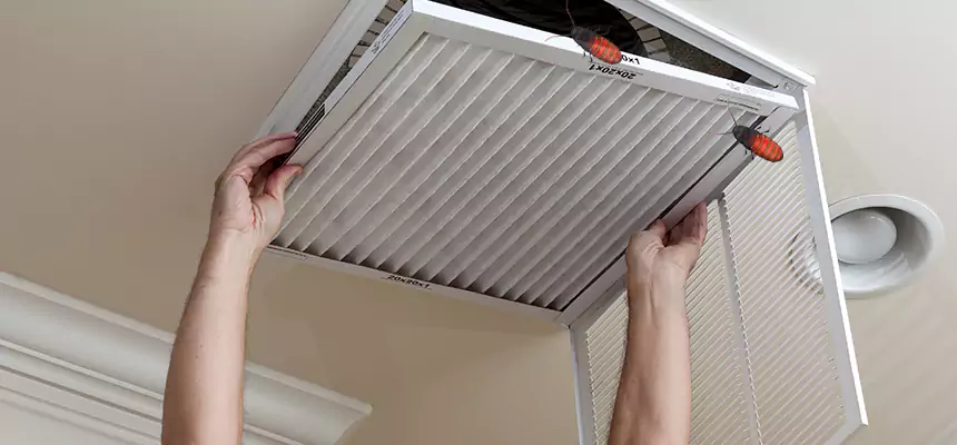 Preventive Cockroach-Proofing for Ducts in Sumter