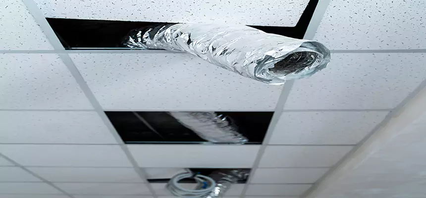 Affordable HVAC Sanitizing After Pest Removal in Sumter