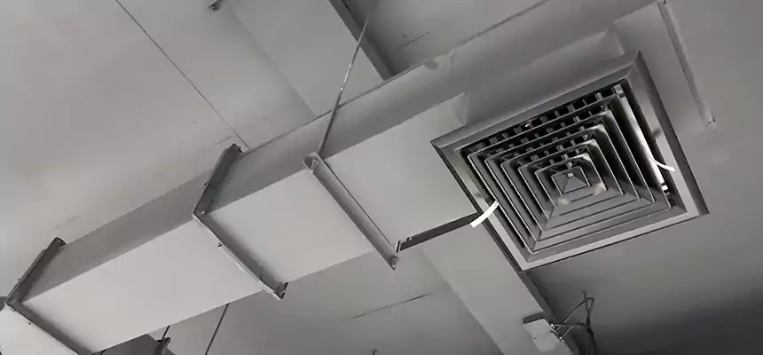 Our Rodent Droppings In Vents Services in Sumter, SC