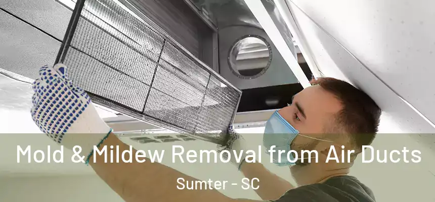  Mold & Mildew Removal from Air Ducts Sumter - SC