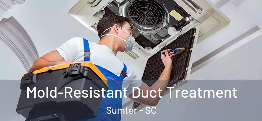  Mold-Resistant Duct Treatment Sumter - SC