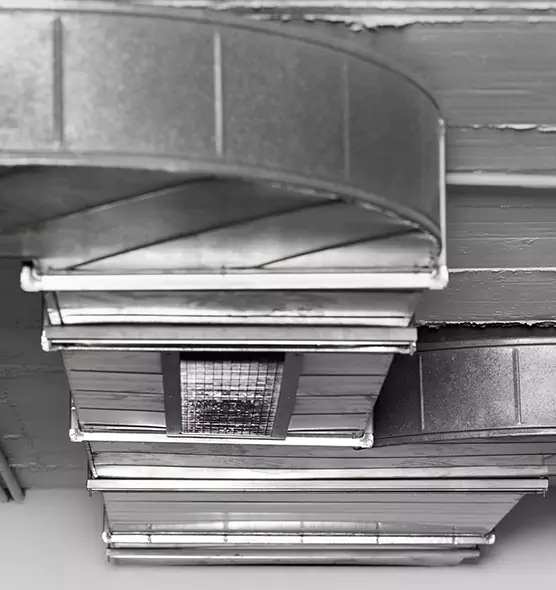 Professional Air Duct Pet Hair Removal in Sumter, SC