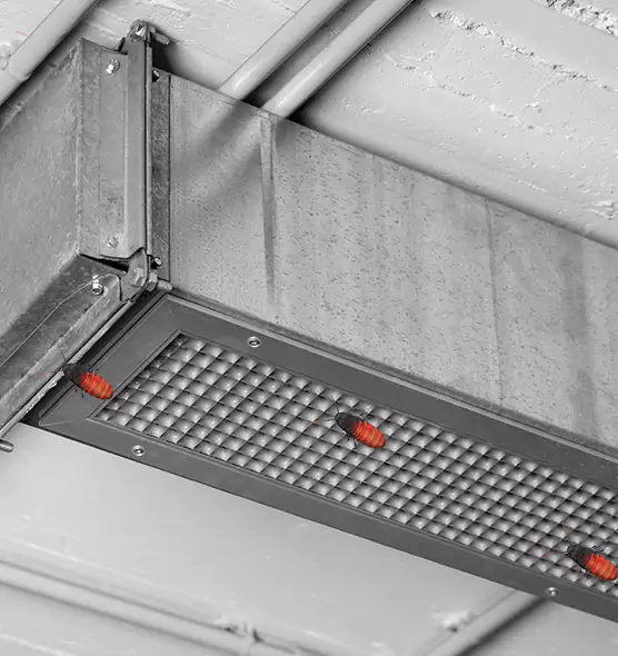 Affordable Insect Removal from Air Ducts in Sumter, SC