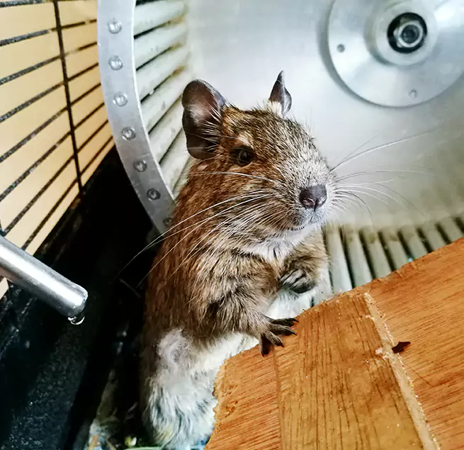 Why Homeowners & Businesses Trust Us Sumter, SC