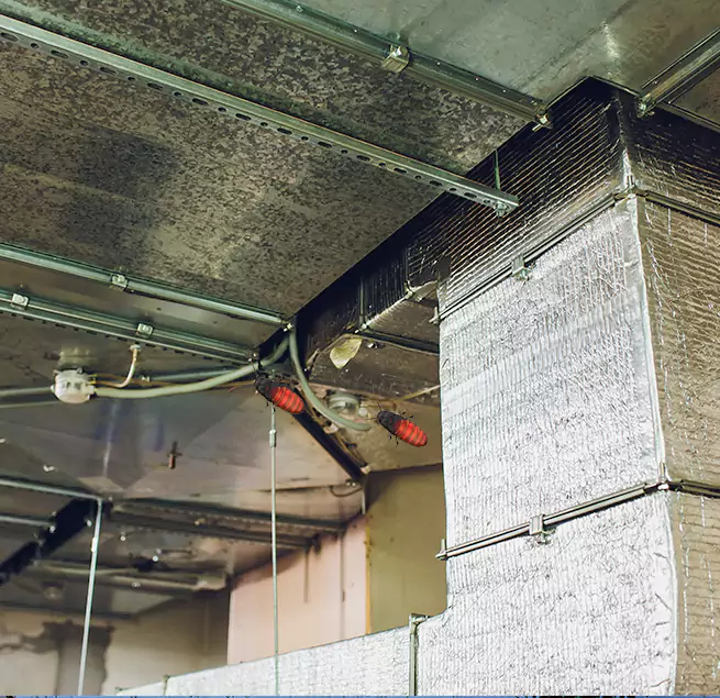 Why Homeowners & Businesses Trust Us Sumter, SC?