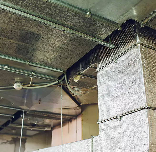 Why Homeowners & Businesses Trust Us in Sumter, SC?